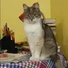 Отзыв от Наиля Андрианова